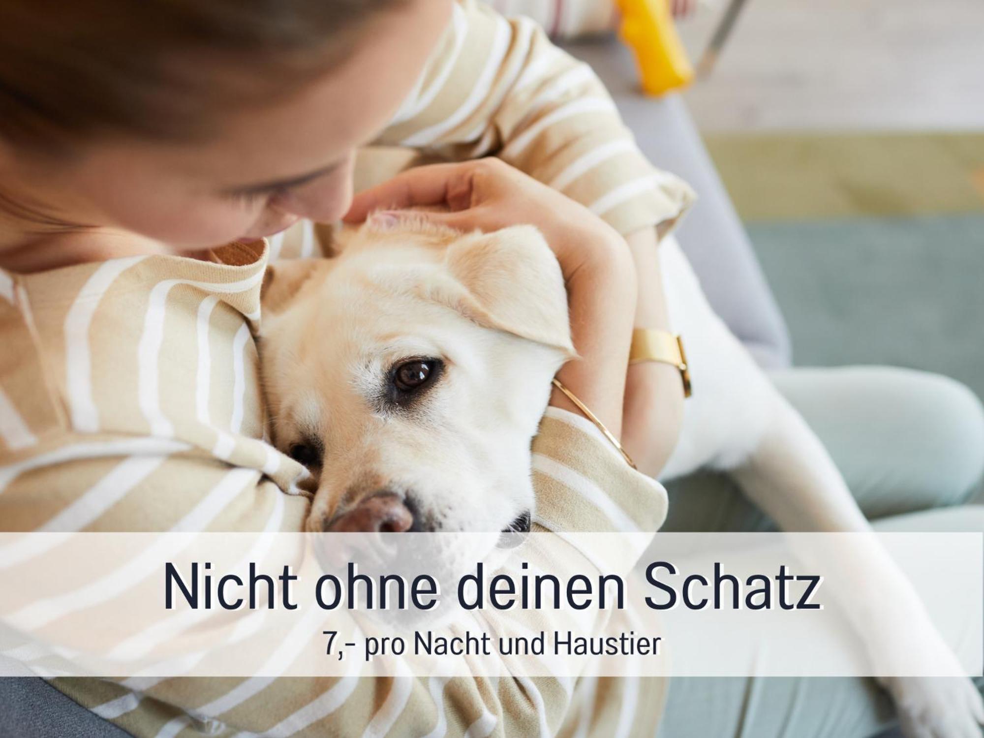 Ferienhaus Toepferhaus - Strandnah, Haustierfreundlich, Optimal Fuer Workation, Kaminofen, Garten, Fuer Paare Und Alleinreisende Steinberg  Exteriér fotografie