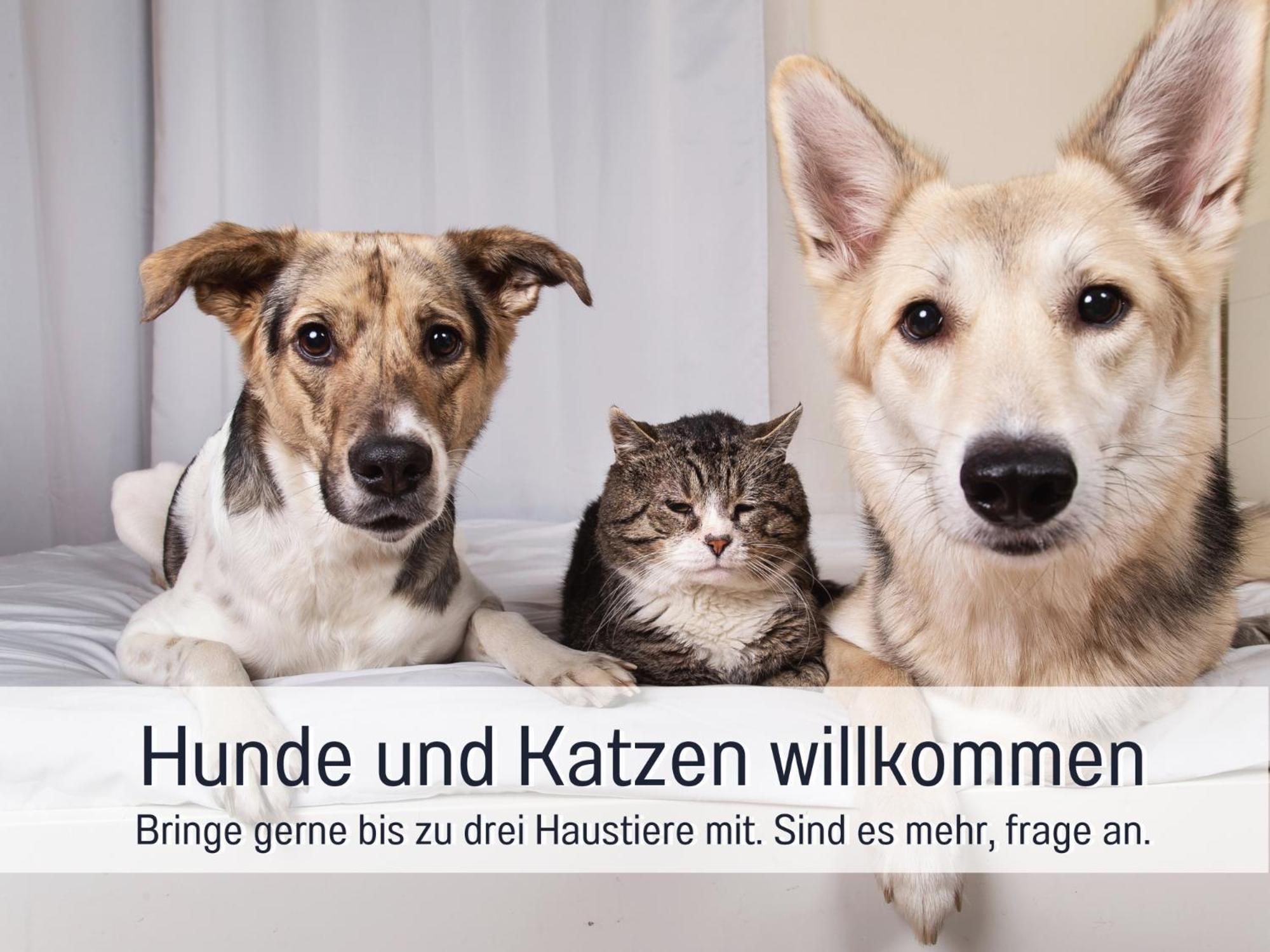 Ferienhaus Toepferhaus - Strandnah, Haustierfreundlich, Optimal Fuer Workation, Kaminofen, Garten, Fuer Paare Und Alleinreisende Steinberg  Exteriér fotografie