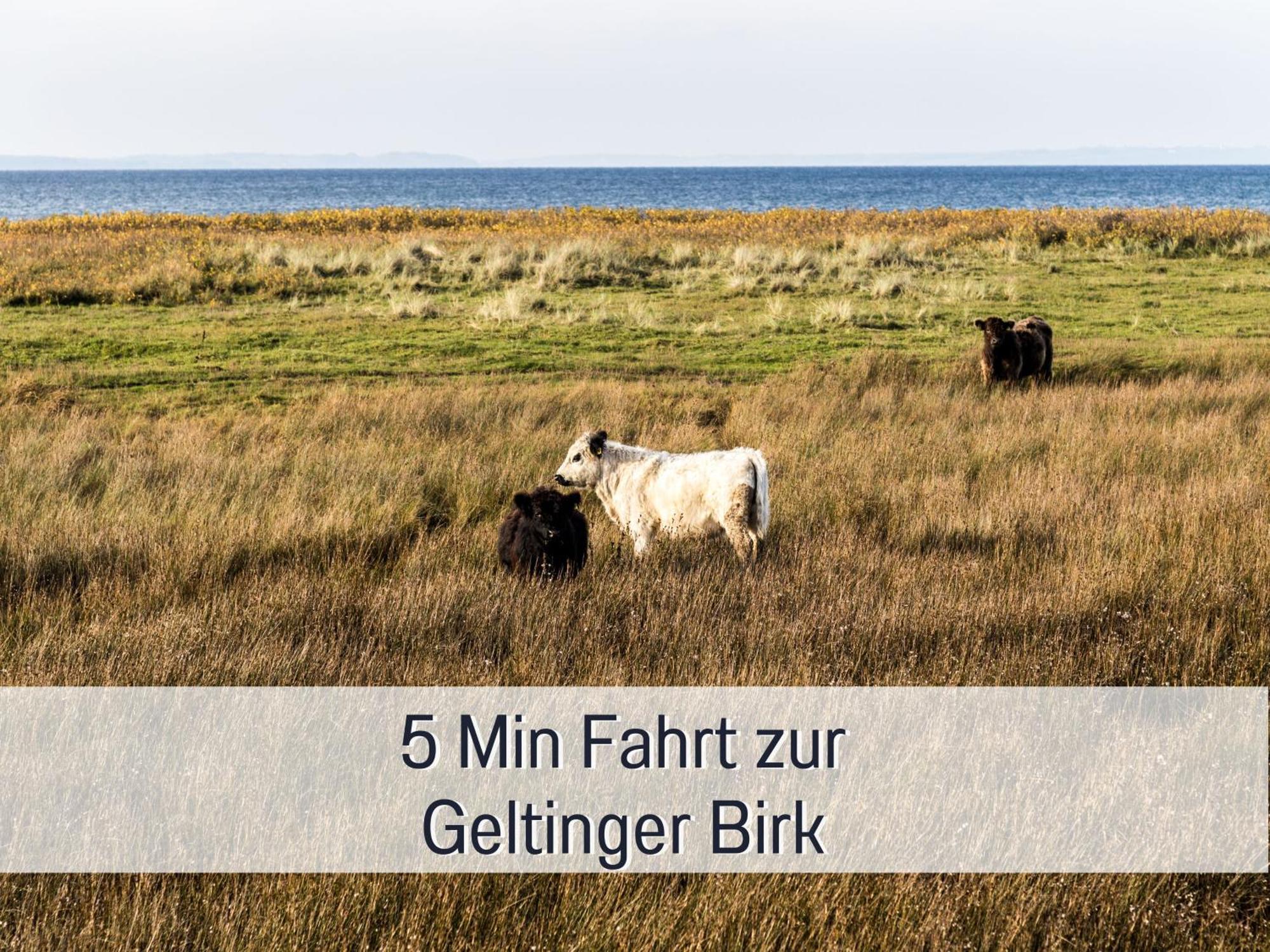 Ferienhaus Toepferhaus - Strandnah, Haustierfreundlich, Optimal Fuer Workation, Kaminofen, Garten, Fuer Paare Und Alleinreisende Steinberg  Exteriér fotografie